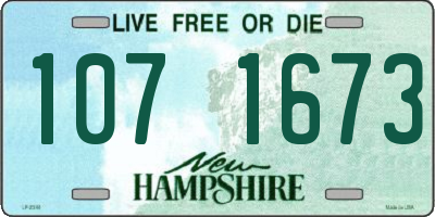 NH license plate 1071673