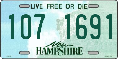 NH license plate 1071691