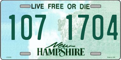 NH license plate 1071704