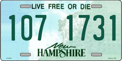 NH license plate 1071731