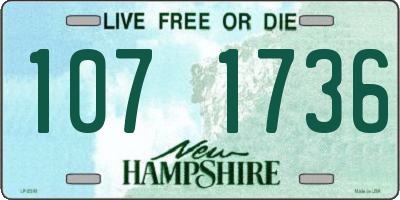 NH license plate 1071736