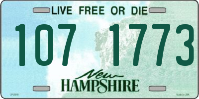 NH license plate 1071773