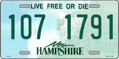 NH license plate 1071791