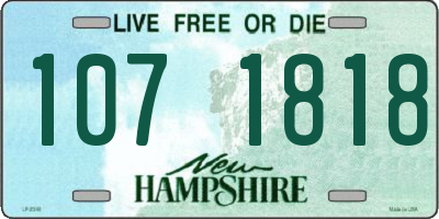 NH license plate 1071818