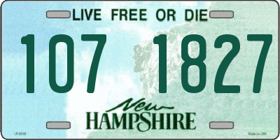 NH license plate 1071827