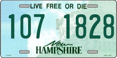 NH license plate 1071828