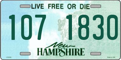 NH license plate 1071830