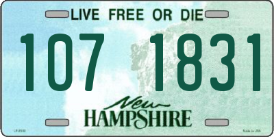 NH license plate 1071831