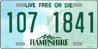 NH license plate 1071841