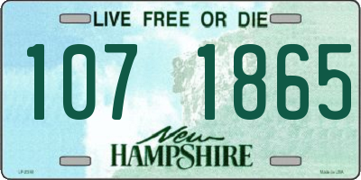 NH license plate 1071865
