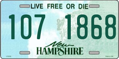 NH license plate 1071868