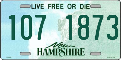 NH license plate 1071873