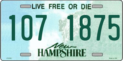NH license plate 1071875