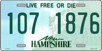 NH license plate 1071876