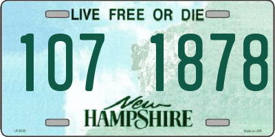 NH license plate 1071878