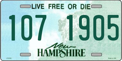 NH license plate 1071905
