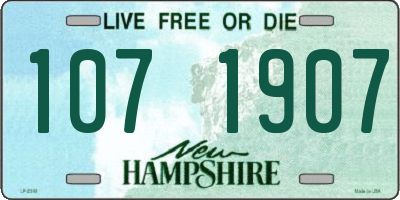 NH license plate 1071907