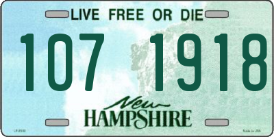 NH license plate 1071918