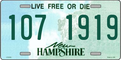 NH license plate 1071919