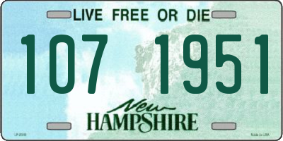 NH license plate 1071951