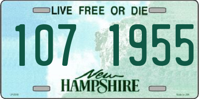 NH license plate 1071955