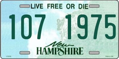 NH license plate 1071975
