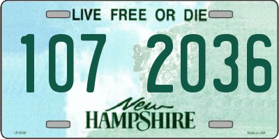 NH license plate 1072036