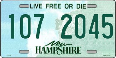 NH license plate 1072045