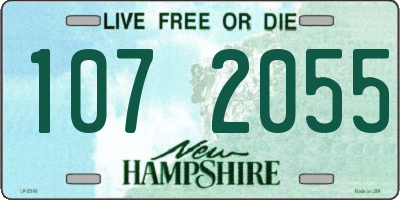 NH license plate 1072055