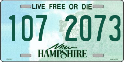 NH license plate 1072073
