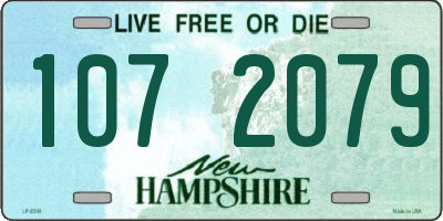 NH license plate 1072079