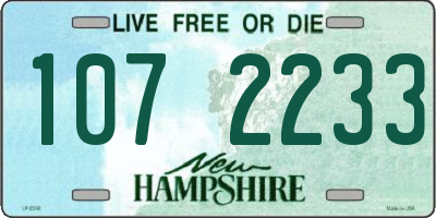 NH license plate 1072233