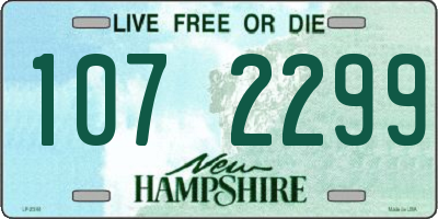 NH license plate 1072299