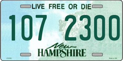 NH license plate 1072300