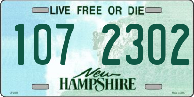 NH license plate 1072302