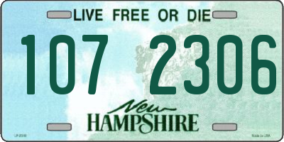 NH license plate 1072306
