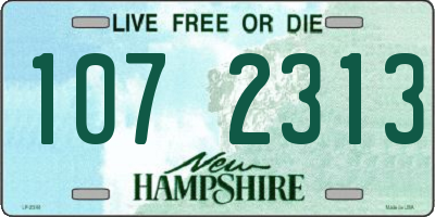NH license plate 1072313
