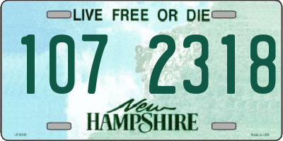 NH license plate 1072318