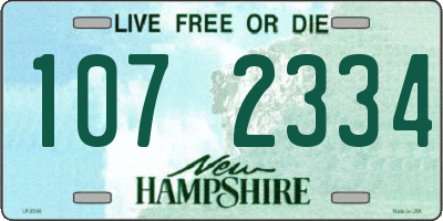 NH license plate 1072334