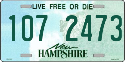 NH license plate 1072473
