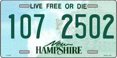 NH license plate 1072502