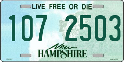 NH license plate 1072503