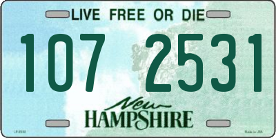 NH license plate 1072531