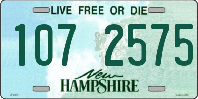 NH license plate 1072575