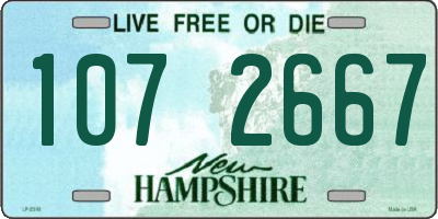 NH license plate 1072667