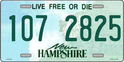 NH license plate 1072825