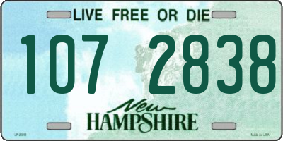 NH license plate 1072838
