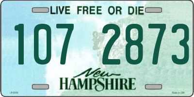NH license plate 1072873