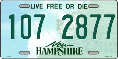 NH license plate 1072877