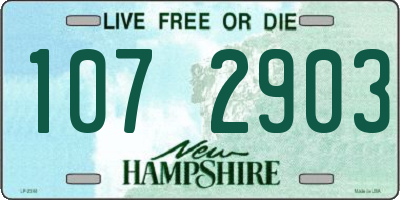 NH license plate 1072903